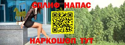 ГАЛЛЮЦИНОГЕННЫЕ ГРИБЫ Кинель