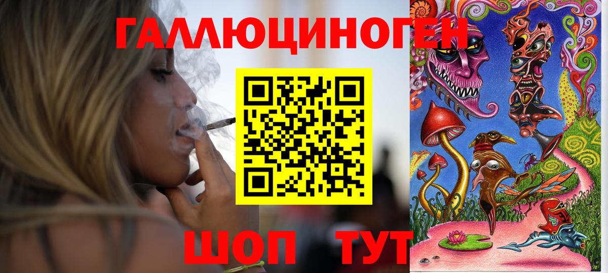 Псилоцибиновые грибы Psilocybe Чайковский
