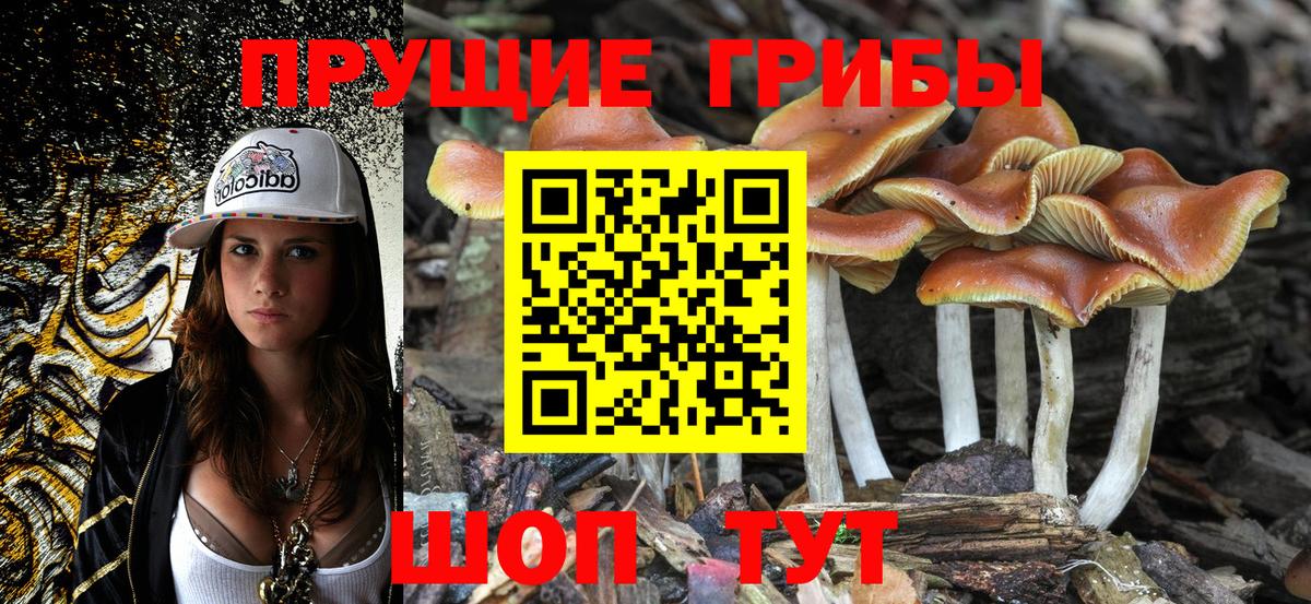 купить закладку  Вход с VPN  Чайковский  Псилоцибиновые грибы Cubensis 